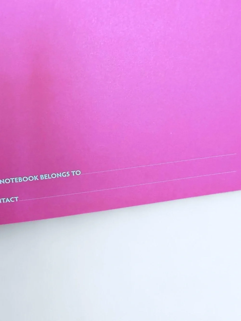 Journal Blank Lined Decorative Girlhoodcore Art Cover